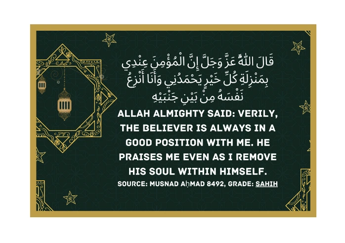 Multiple beautiful layouts used to display prayer times